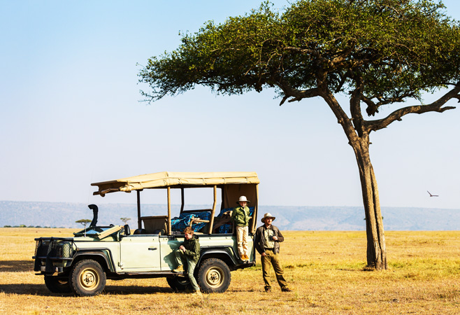 Indulge in luxurious safaris, meet majestic wildlife, dive into vibrant cultures, and cherish unforgettable sunsets.