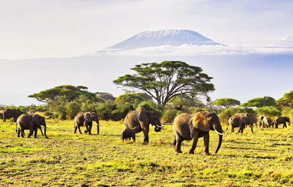 From Outback to Savannah: The Ultimate Guide to Traveling from Australia to Kenya