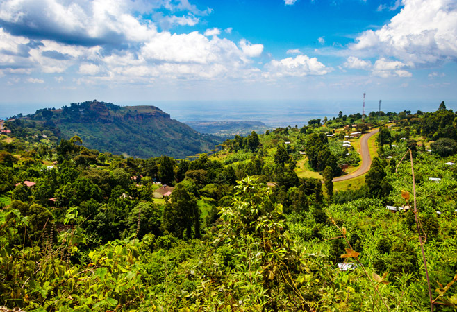 Mount Elgon is a volcanic giant with diverse vegetation, offering hiking, cave exploration, and unique salt-mining elephants Mount Elgon is a volcanic giant with diverse vegetation, offering hiking, cave exploration, and unique salt-mining elephants
