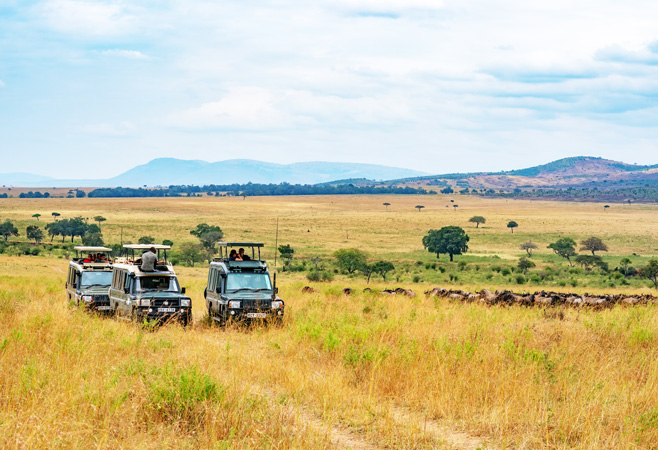 It’s considered the world’s greatest safari destination, where you can discover the iconic realm of the Big Five