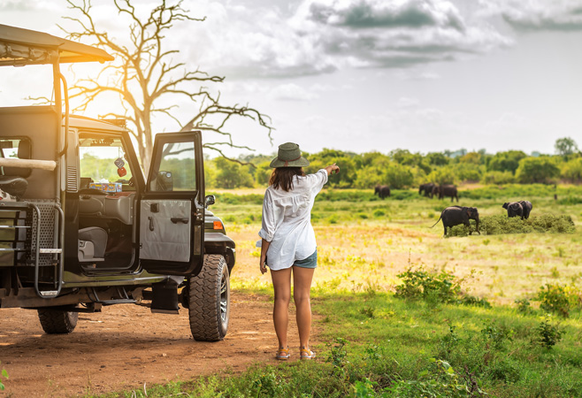 Kenya has launched a strategic tourism campaign to attract Australian travellers, aiming to boost international arrivals from this key market.