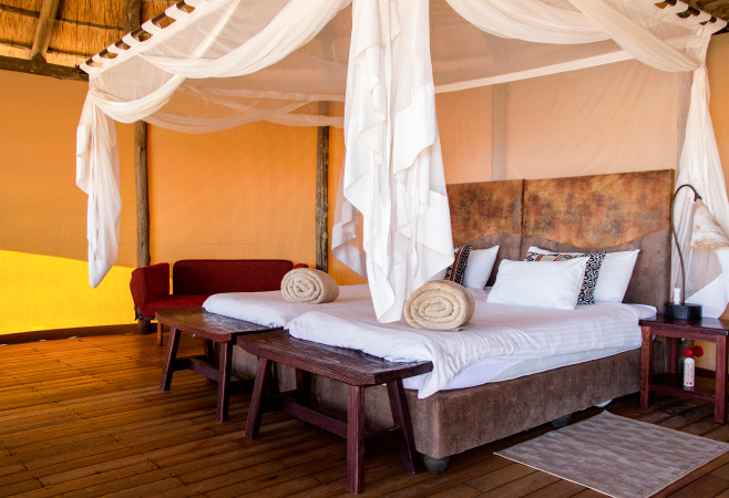 The Ark Lodge is a luxury lodge resembling Noah's Ark, with 60 en-suite rooms, unique viewing areas, and activities like wildlife watching and game drives.