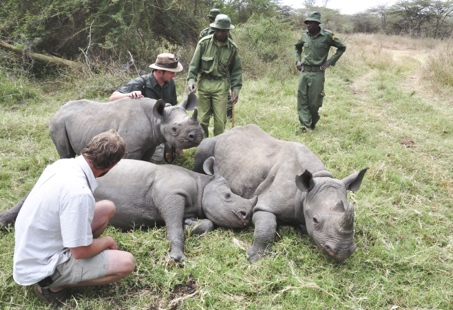Borana is a protected area management entity committed to the sustainability conservation and regeneration of wildlife, rangelands and building local livelihoods. Borana is a protected area management entity committed to the sustainability conservation and regeneration of wildlife, rangelands and building local livelihoods.