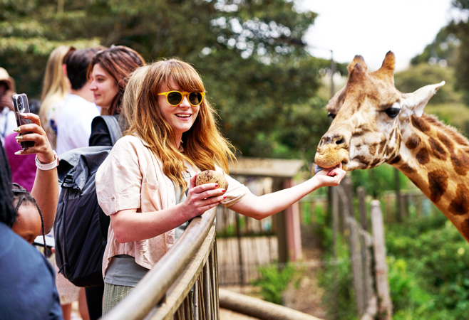 The circular walk to feed and meet the giraffes is obviously the highlight, but make sure to leave time for the other activities