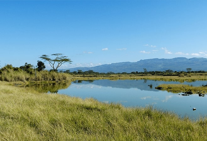 Day game drives offer scenic views and wildlife like zebras and giraffes Day game drives offer scenic views and wildlife like zebras and giraffes