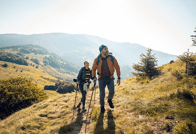 Explore scenic hiking trails in the sanctuary, especially around Hyrax Hill Explore scenic hiking trails in the sanctuary, especially around Hyrax Hill