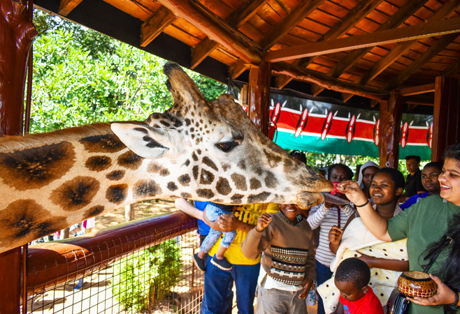 Learn about our conservation efforts, programmes, and educational initiatives