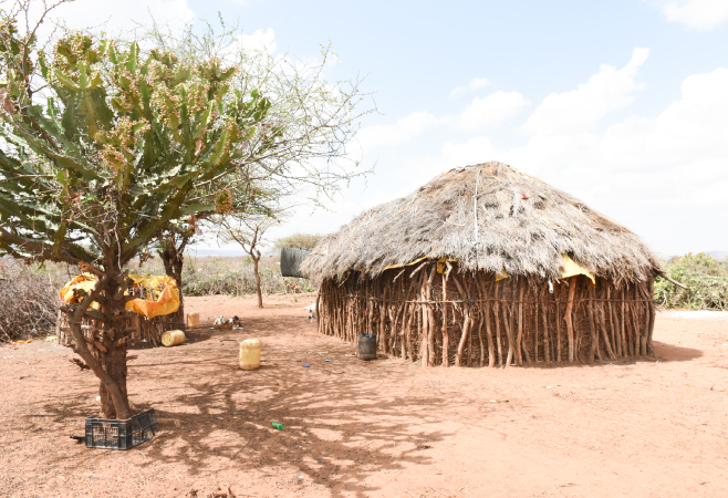 Loisaba Conservancy protects wildlife movement corridors and is a large migratory route for elephants, buffalo, and zebra Loisaba Conservancy protects wildlife movement corridors and is a large migratory route for elephants, buffalo, and zebra