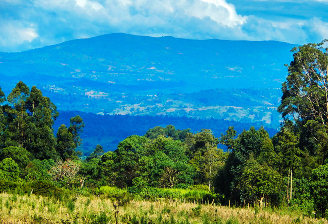 The Cherangani Hills, an old fault-block formation of non-volcanic origin, form an undulating upland plateau on the western edge of the Rift Valley. The Cherangani Hills, an old fault-block formation of non-volcanic origin, form an undulating upland plateau on the western edge of the Rift Valley.