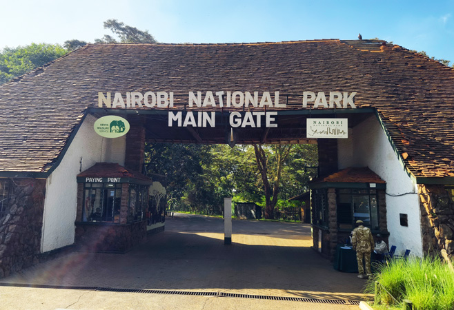Nairobi National Park spans 117 square kilometers and was established in 1946