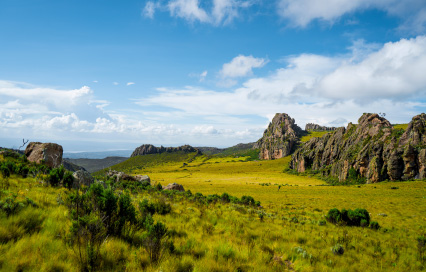 Exploring Kenya’s Highlands on an Aberdare National Park Day Trip