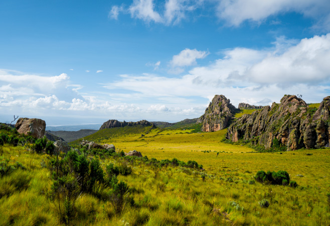 Discover the region’s abundant flora and fauna such as elephants, leopards, monkeys, buffalos, and much more