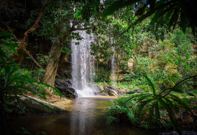 Adamson Falls is well known as the rough water region on the Tana River running.