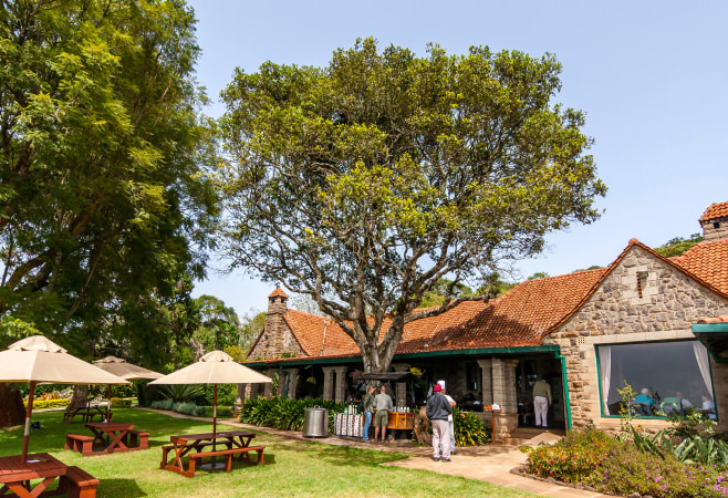 Find the best places to stay in Aberdare National Park