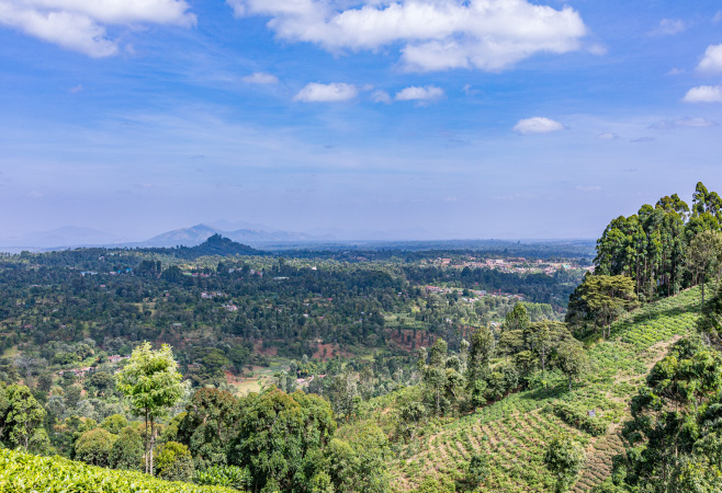 The long cool but dry season between July and October is optimal for wildlife viewing