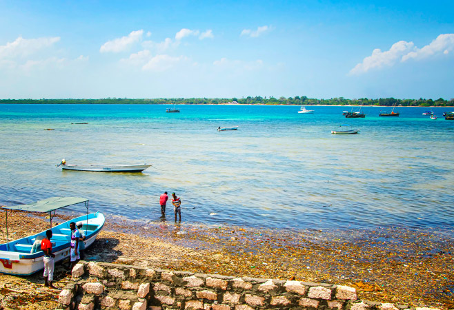 The best time to visit Wasini Island is during the dry season, from June to October and January to February