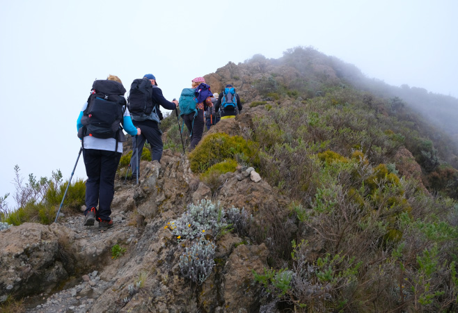 Mugwongo Hill is the highest point in Meru National Park