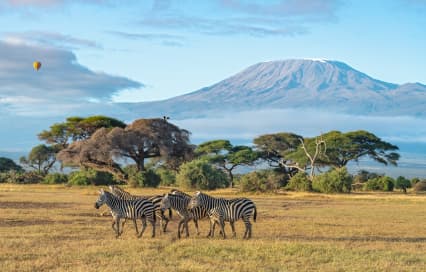 Distance from Tanzania to Kenya: Flight & Road Guide