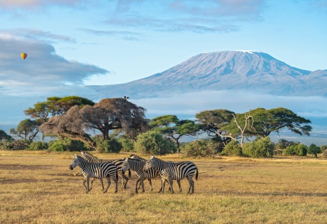 Distance from Tanzania to Kenya: Flight & Road Guide Distance from Tanzania to Kenya: Flight & Road Guide