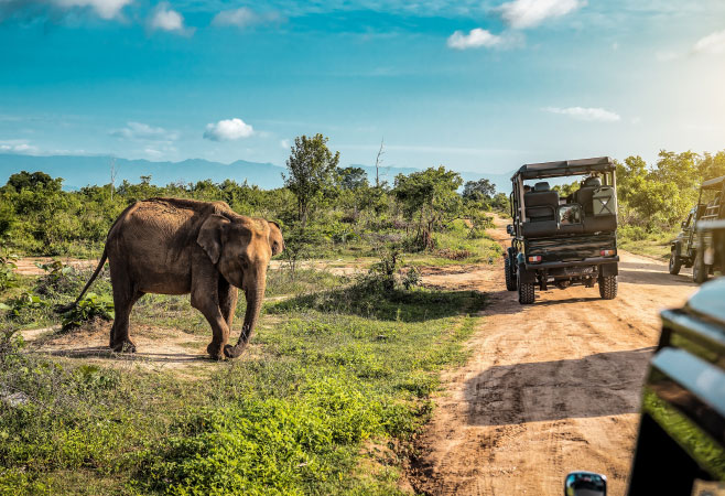 What happens when Gambian citizens arrive in Kenya? What happens when Gambian citizens arrive in Kenya?