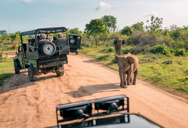 Do Malawians Need a Visa to Kenya? Entry Rules Do Malawians Need a Visa to Kenya? Entry Rules