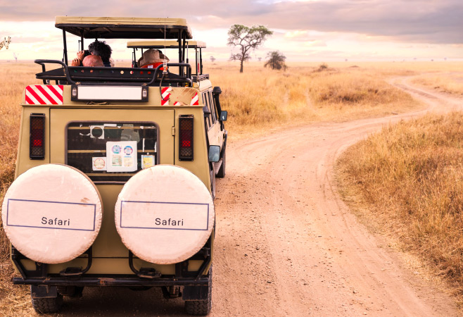 Early morning and late afternoon game drives offer the best chances for spotting active wildlife.