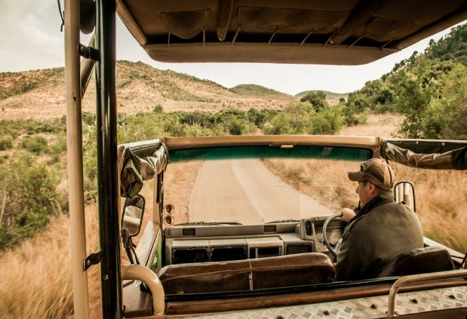 Game drives in Mount Kenya National Park provide an opportunity to explore the diverse wildlife within the park.