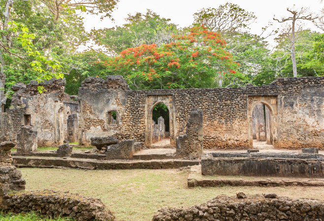 Gede Ruins are the remains of a Swahili town, typical of most towns along the East African Coast