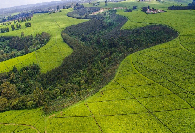 There are 3 ways to get from Nairobi to Limuru: by bus, car, or taxi. There are 3 ways to get from Nairobi to Limuru: by bus, car, or taxi.