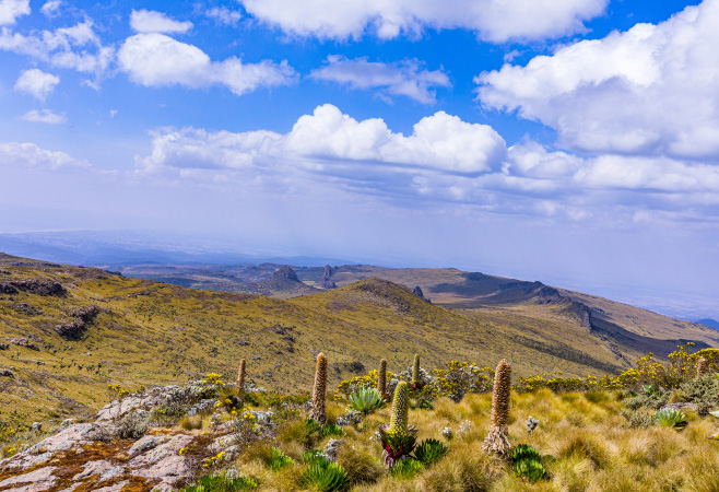 The park has several mountain peaks that offer perfect hiking opportunities for tourists