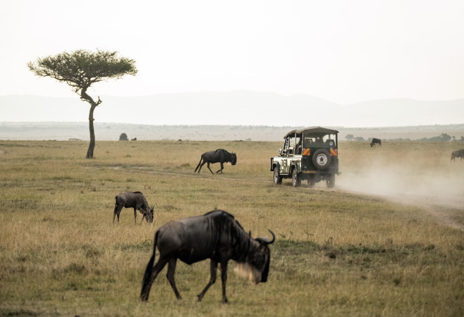 How to get to Masai Mara