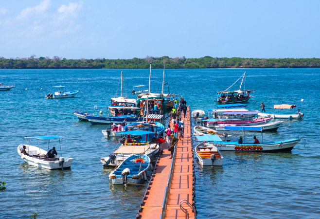 To reach Wasini Island, there are different transportation options depending on your starting point.