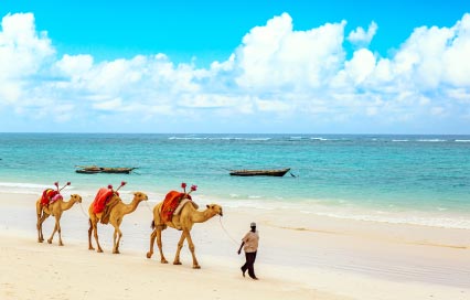 Kenya Safari Holidays from Ireland: Routes & Costs