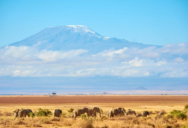 Best Kenya safari itineraries from Ireland Best Kenya safari itineraries from Ireland