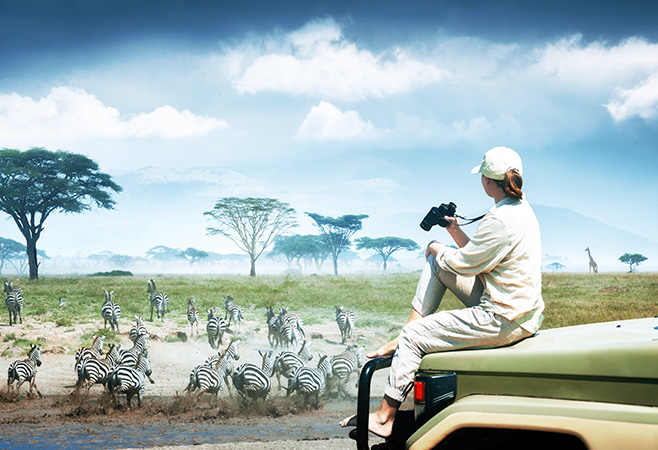 Kenya Safari Packages from UAE: Prices, Itineraries & Travel Guide Kenya Safari Packages from UAE: Prices, Itineraries & Travel Guide