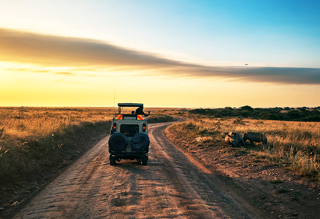 Best Kenya tour packages from UAE - 5-Day Nairobi + Lake Naivasha + Masai Mara tour