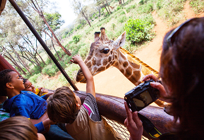 Family-friendly Kenya safari packages Family-friendly Kenya safari packages
