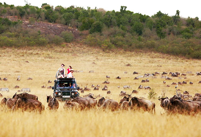 Top places included in Kenya tour packages from UAE - Masai Mara National Reserve Top places included in Kenya tour packages from UAE - Masai Mara National Reserve