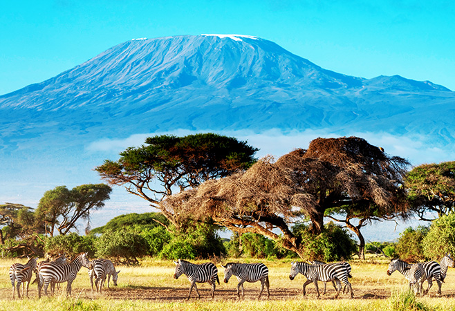 Top places included in Kenya tour packages from UAE - Amboseli National Park Top places included in Kenya tour packages from UAE - Amboseli National Park