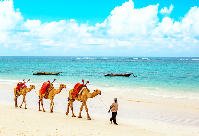 Top places included in Kenya tour packages from UAE - Diani Beach Top places included in Kenya tour packages from UAE - Diani Beach