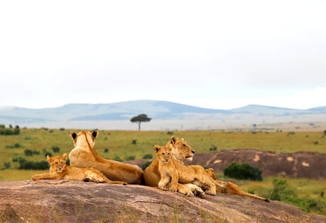 Kenya to Nigeria Distance: Flights, Time and Routes Kenya to Nigeria Distance: Flights, Time and Routes
