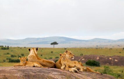Kenya to Nigeria Distance: Flights, Time and Routes