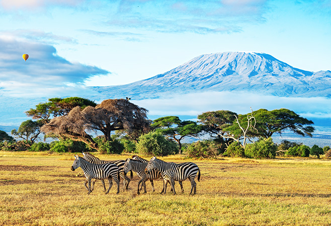 Kenya Trip Cost From India: Complete Budget Guide for Indian Travelers Kenya Trip Cost From India: Complete Budget Guide for Indian Travelers