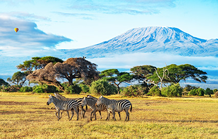 Kenya Trip Cost From India: Complete Budget Guide for Indian Travelers