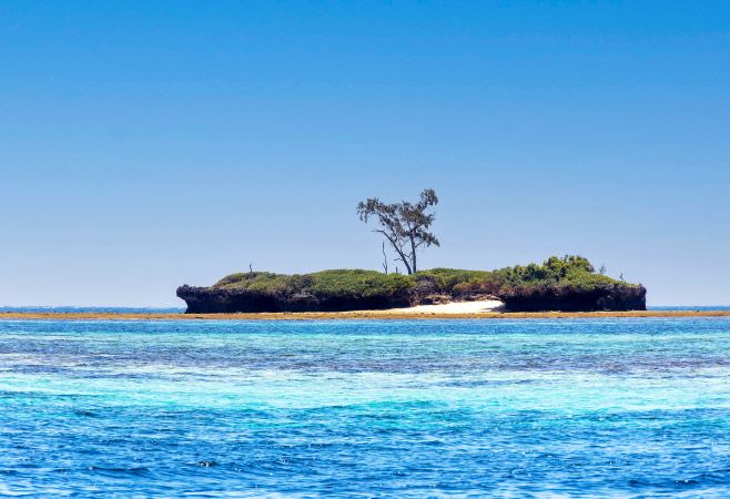 Kisite-Mpunguti Marine Park & Reserve protects a variety of high-diversity and complex ecosystems, including fringing reefs, seagrass meadows, and mangroves.