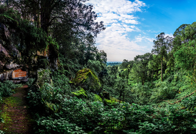 The cave is frequented by other wildlife , including buffalo, hyenas, and bushbucks, making it a unique ecosystem within the national park. The cave is frequented by other wildlife , including buffalo, hyenas, and bushbucks, making it a unique ecosystem within the national park.