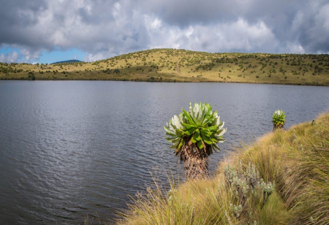 Lake Ellis is a pristine gem offering visitors a tranquil retreat from the bustle of everyday life.