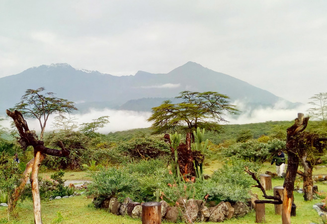 Murera Gate is the main entrance to Meru National Park and is conveniently accessible from Meru town and the surrounding region