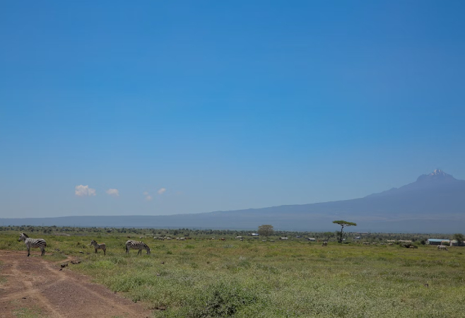 Mount Kenya National Park supports a unique Afro-alpine ecosystem, and it serves as a crucial drainage basin that supplies Kenya’s water.