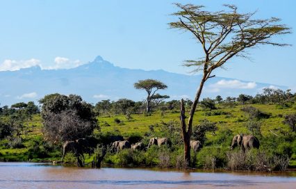 Unveiling the Beauty of Mount Kenya National Park: A Complete Travel Guide